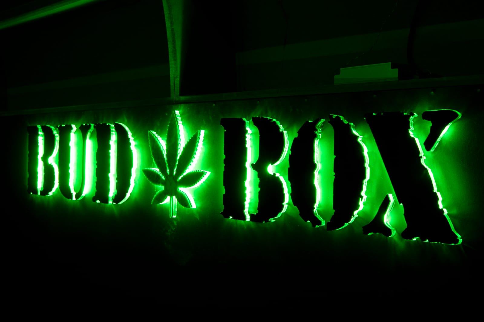Laser-cut BUD BOX letters, edge-lit green